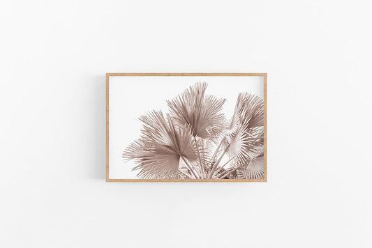 Bronze Palm I | Coastal Boho Brown Bronze Palm Print | Lynette Cooper Prints and Sketches