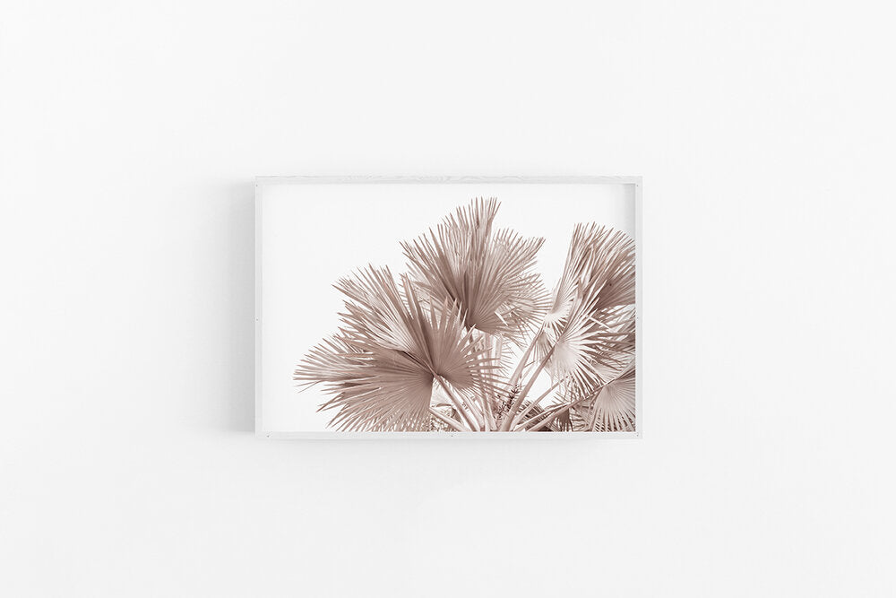 Bronze Palm I