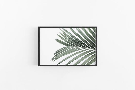 Cascade Palm | Botanical Palm Wall Art Print | Lynette Cooper Prints and Sketches
