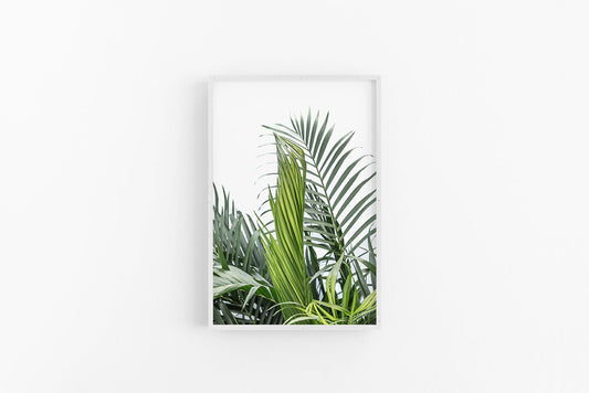 Cascade Palm II | Tropical Greenery Wall Art Palm Leaf Print | Lynette Cooper Prints and Sketches