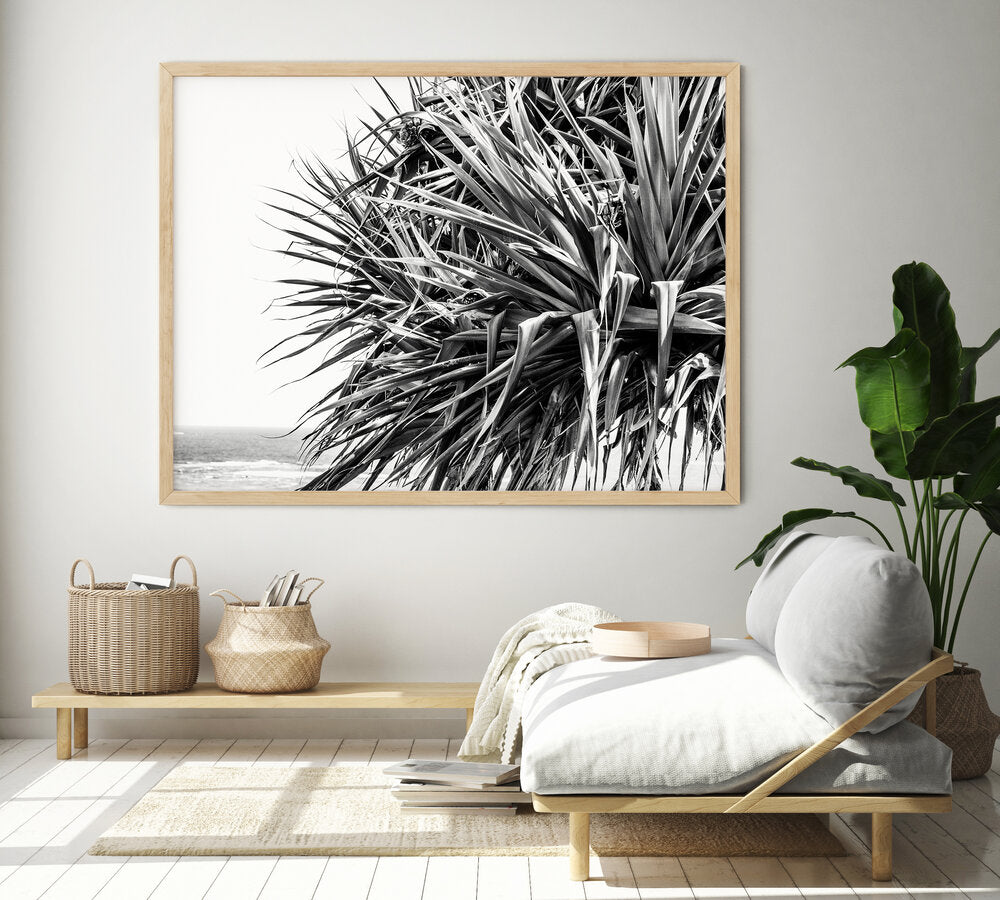 Pandanus II