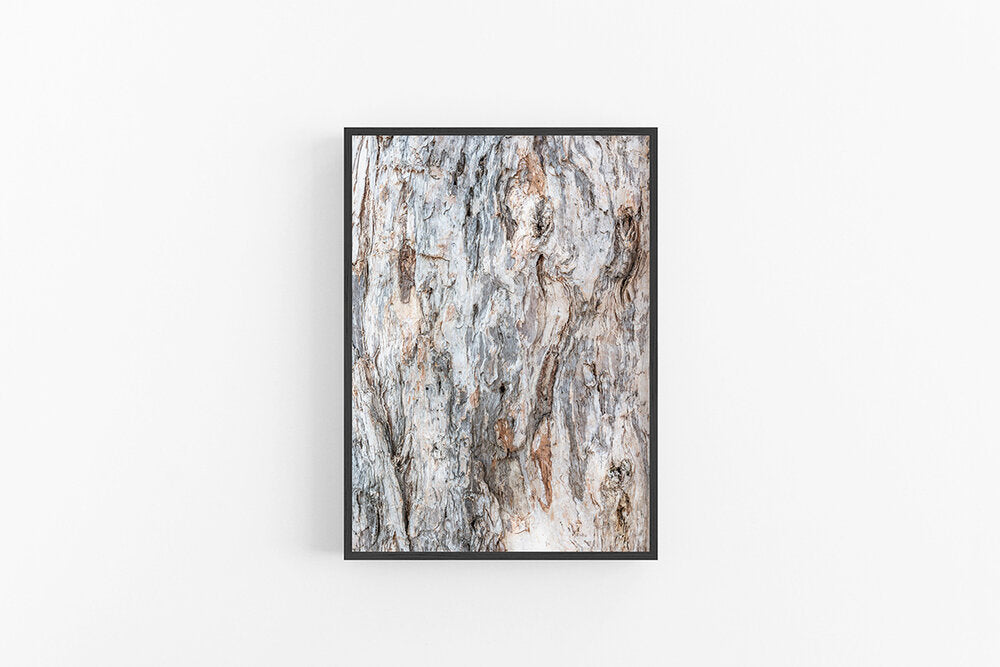 Paperbark II