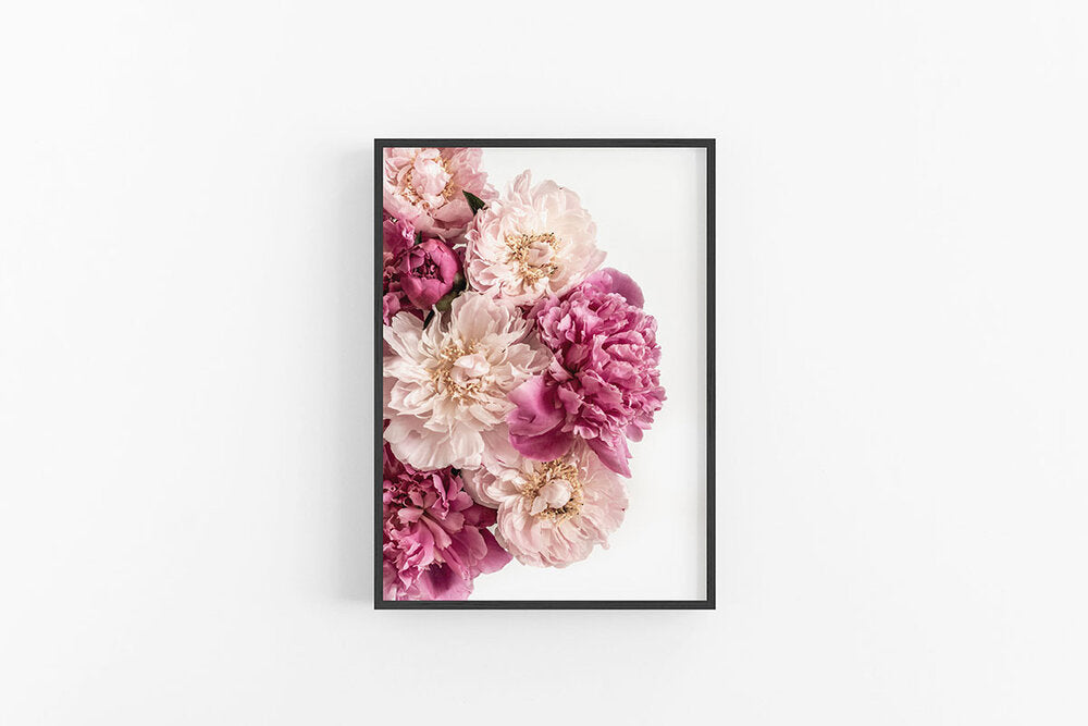 Peonies II