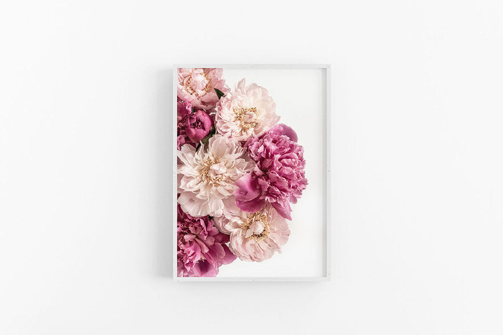 Peonies II