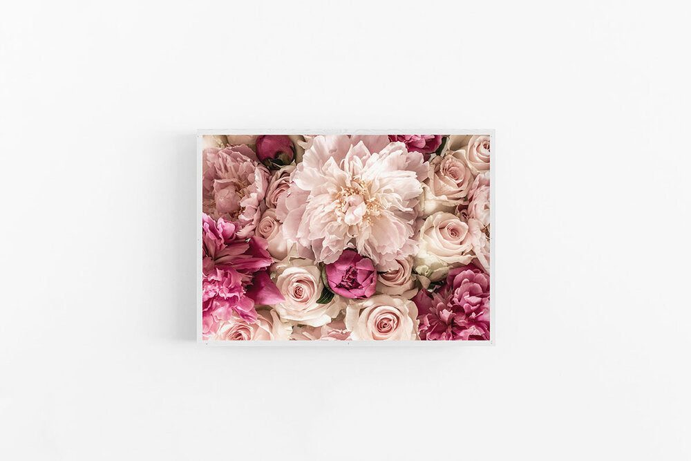 Peony & Rose I