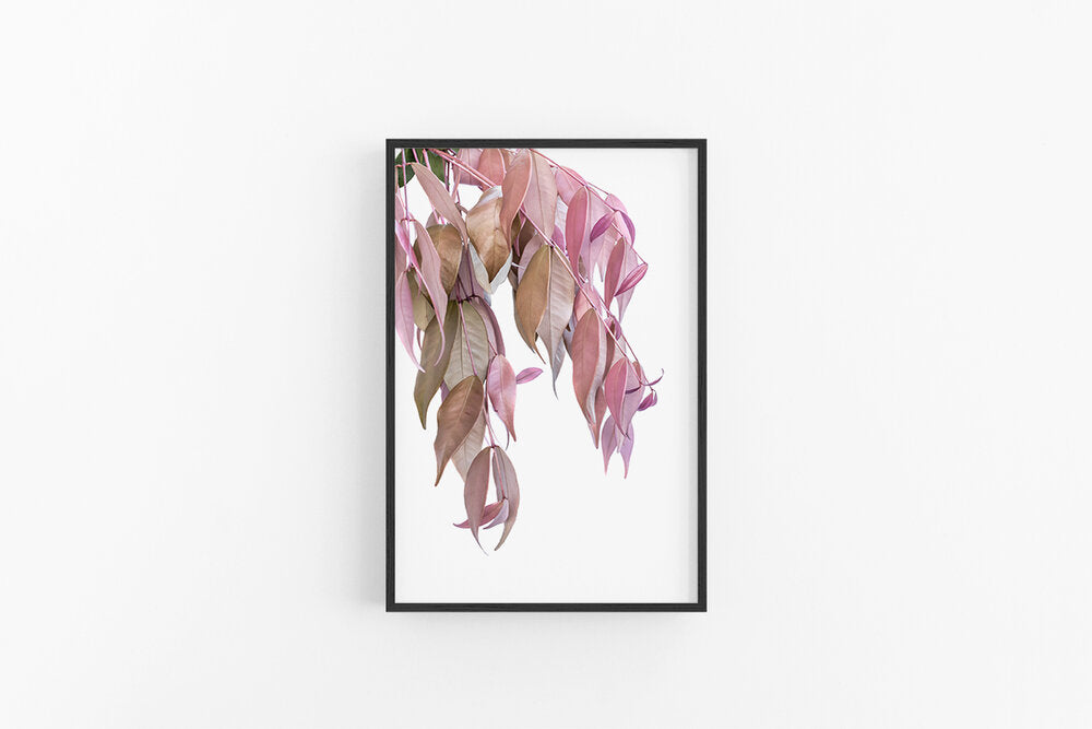 Pink Leaves II