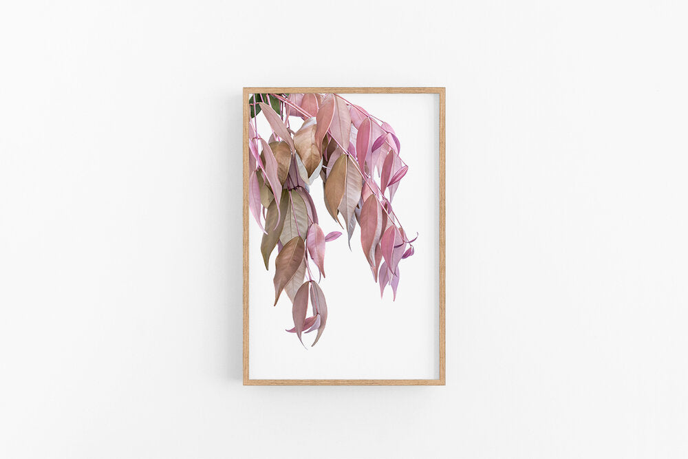 Pink Leaves II